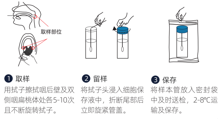 2024澳门2024免费原料网